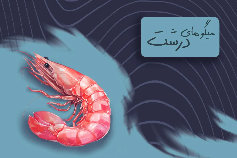 Negar_1713355347345-1
