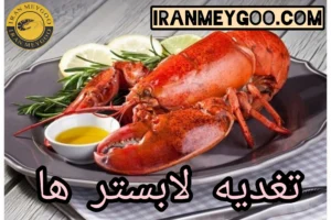 لابستر چیست